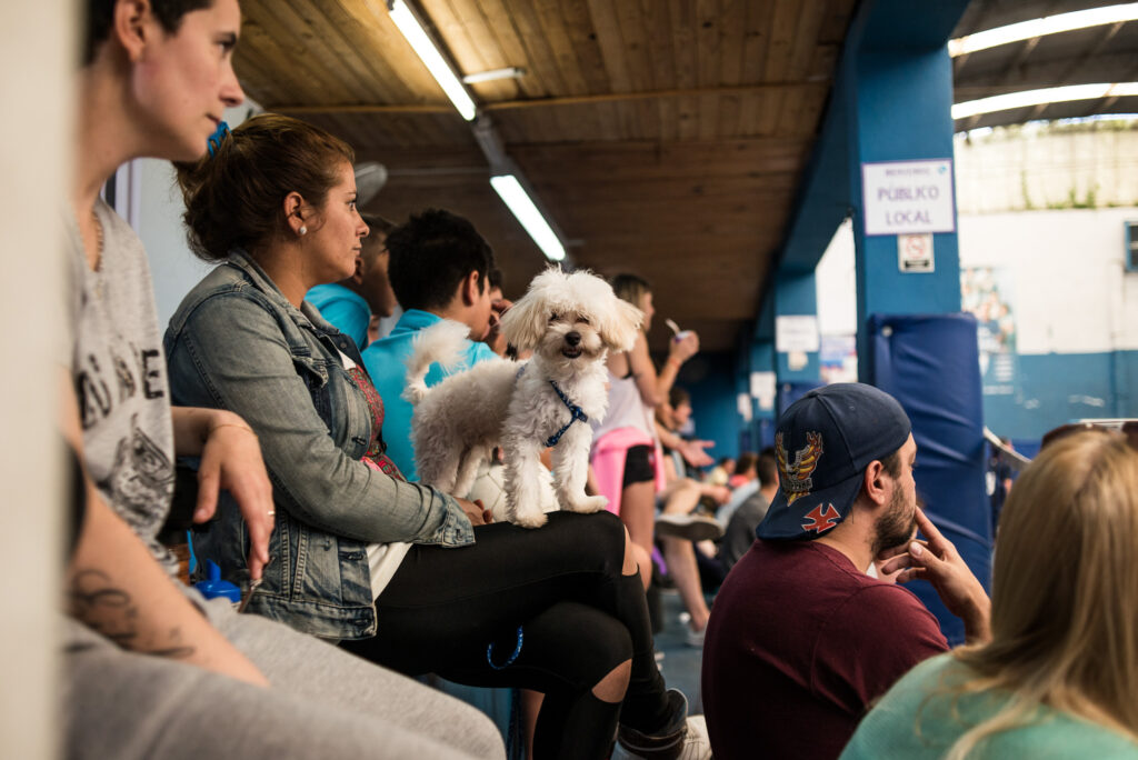 Un perrito ubicado en la tribuna, a upa de su dueña, mira a cámara durante un partido de futsal.